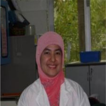 Salmah Binti Ismail
